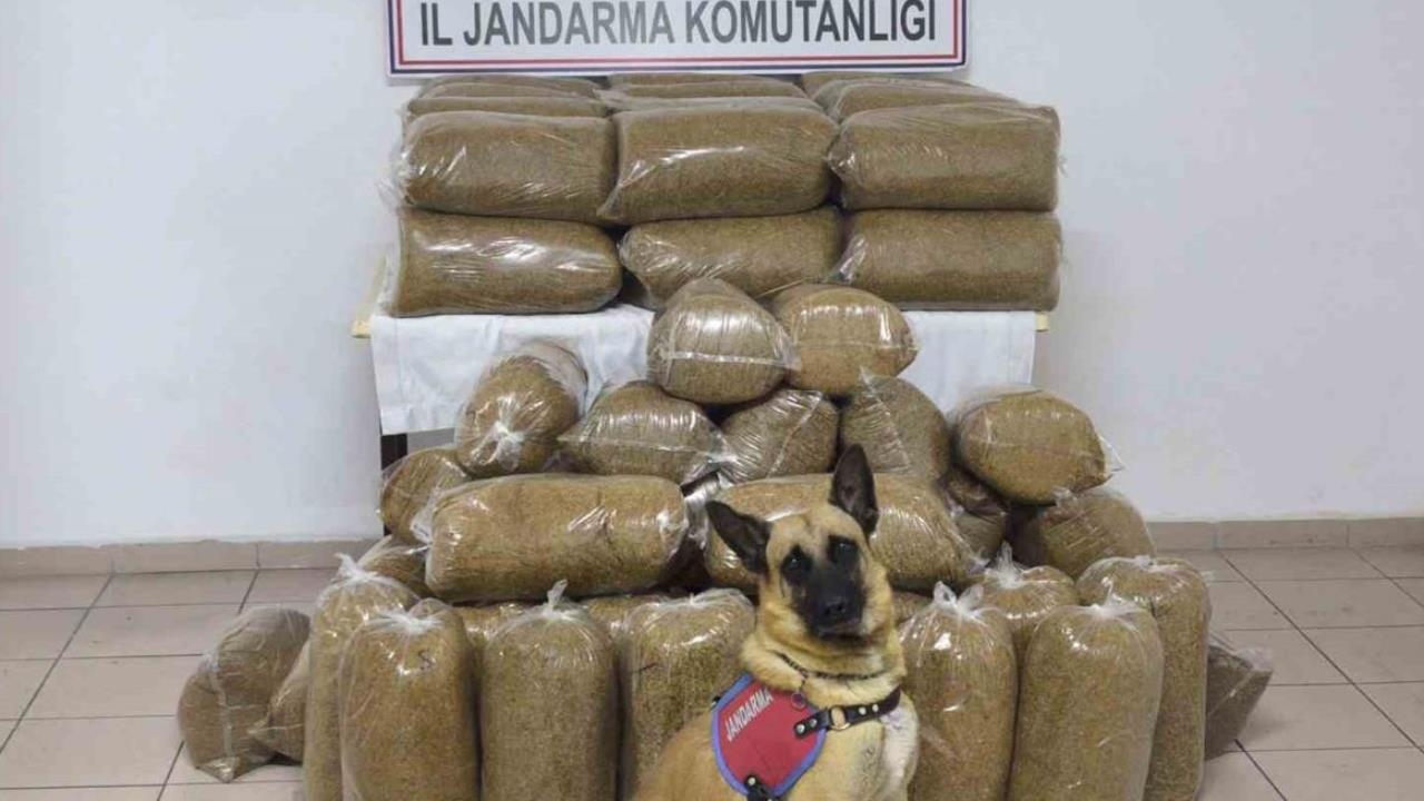 Tokat'ta 340 Kilogram Kaçak Tütün Ele Geçirildi