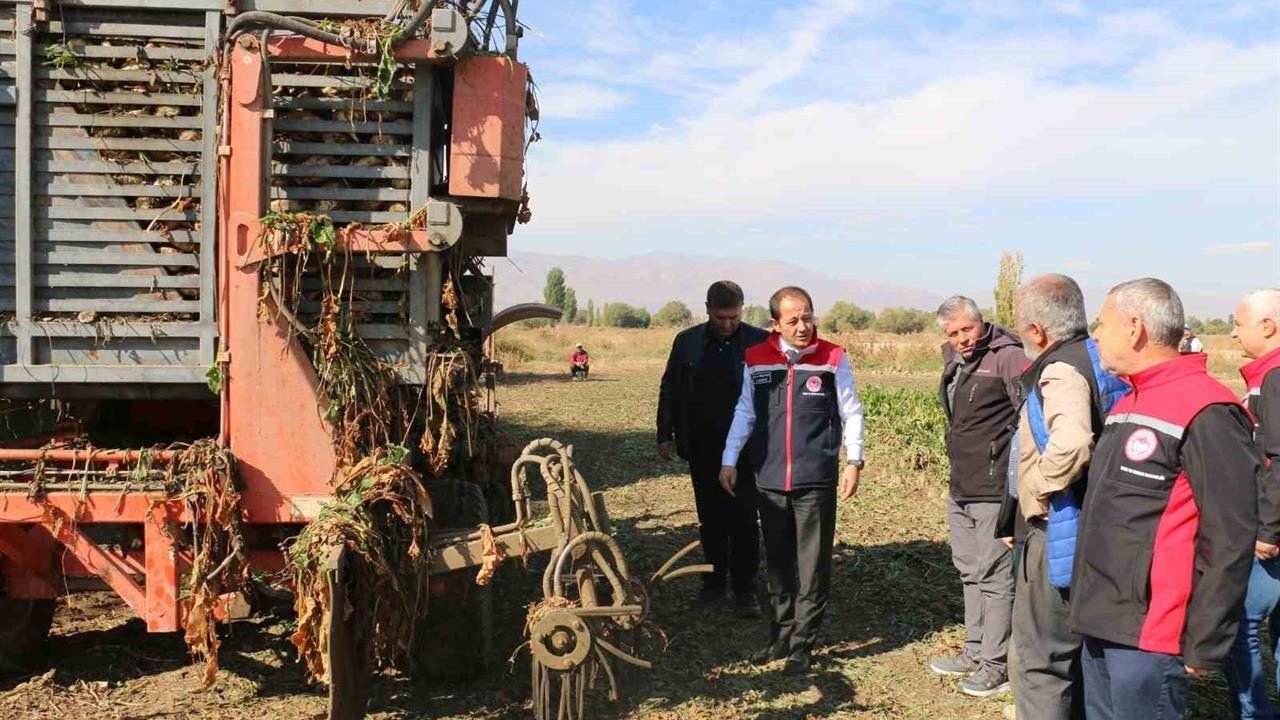 Erzincan'da Şeker Pancarı Hasadı: Ekonomik Döngü 1 Milyar TL