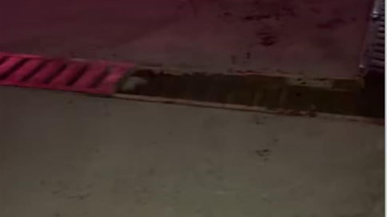 İstanbul'da Mangal Kazası: Otomobil Hasar Gördü