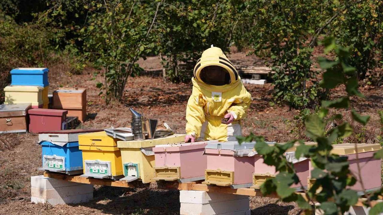 Düzce Üniversitesi Mezunları Gıda Kahramanı Oldu