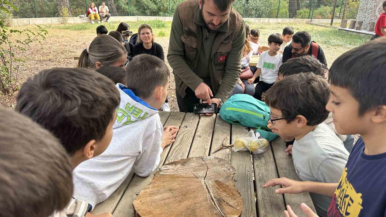 Aydın'da Öğrenciler Yaban Hayatını Keşfetti
