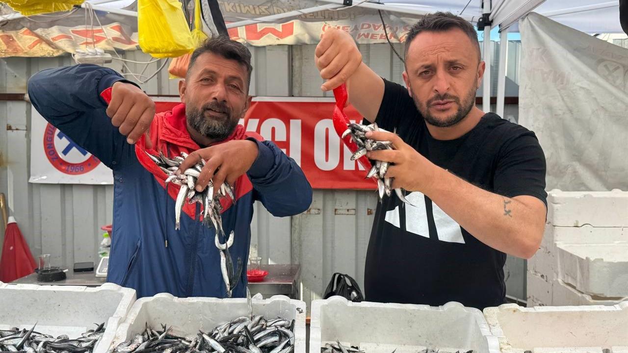 Zonguldak'ta Hamsi Fiyatı 70 Liraya Düştü