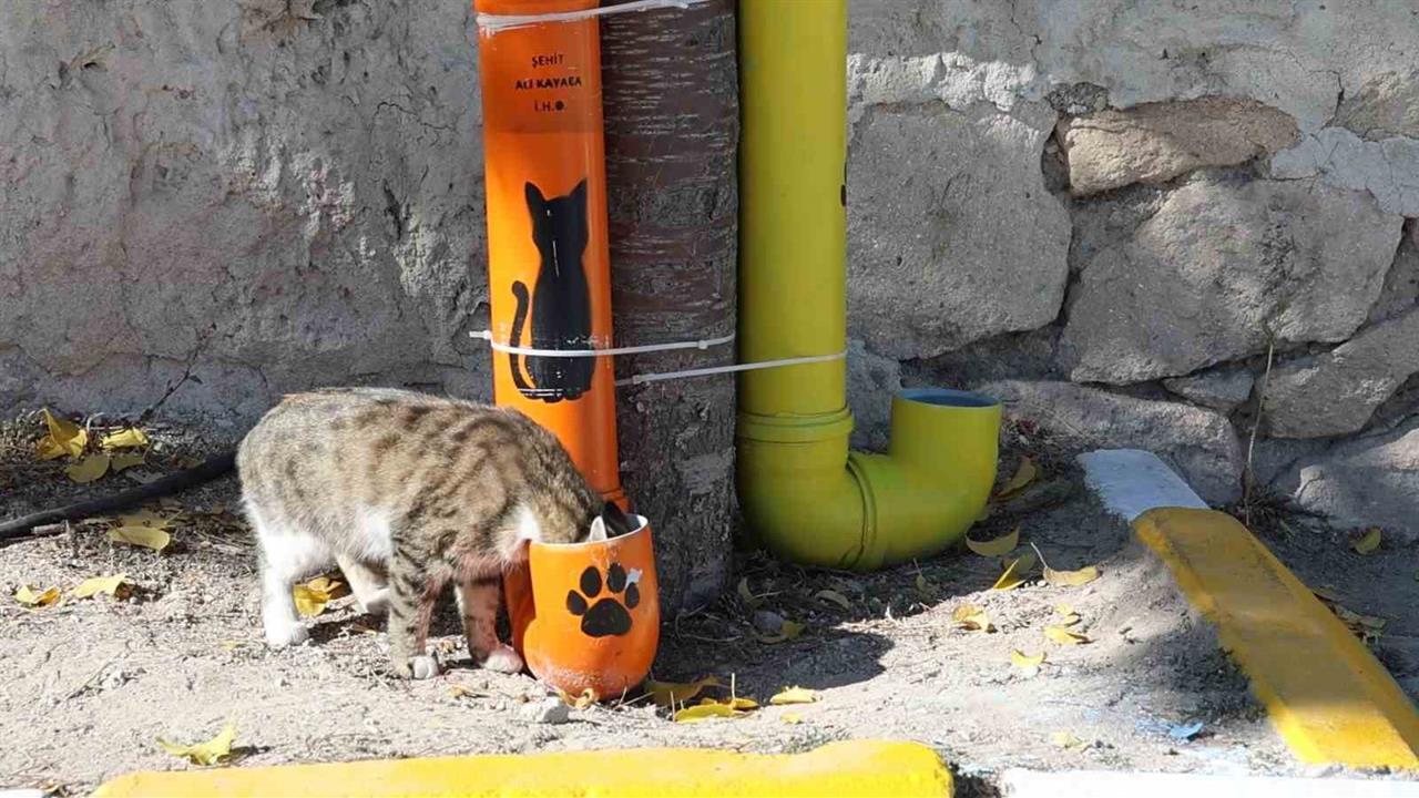 Nevşehir'de Öğrencilerden Sokak Hayvanlarına Destek Projesi