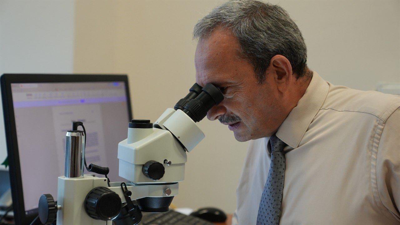 Karabük'te Orman Fidanlıklarında Toprak Canlıları Araştırılacak