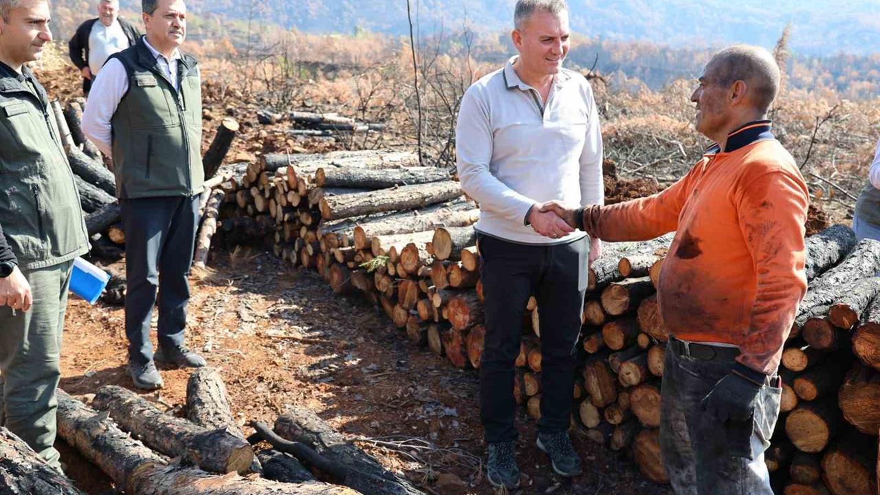 Köyceğiz'de Yanan Alanlar İçin Fidan Dikimi Hazırlıkları Başladı