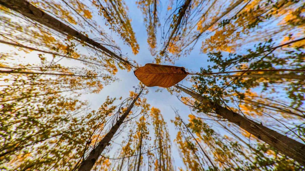 Erzincan Dağları Sonbahar Güzelliğiyle Büyülüyor