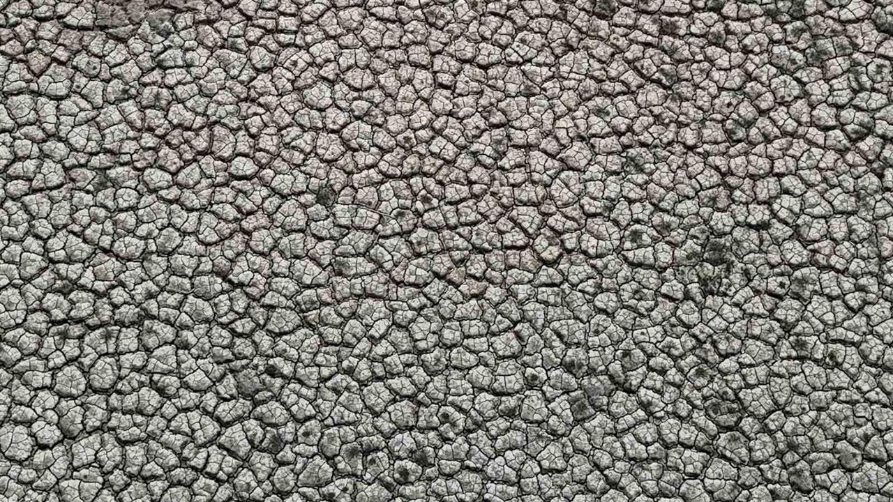 Adana'da Seyhan Baraj Gölü'ndeki Su Seviyesi Düşüyor