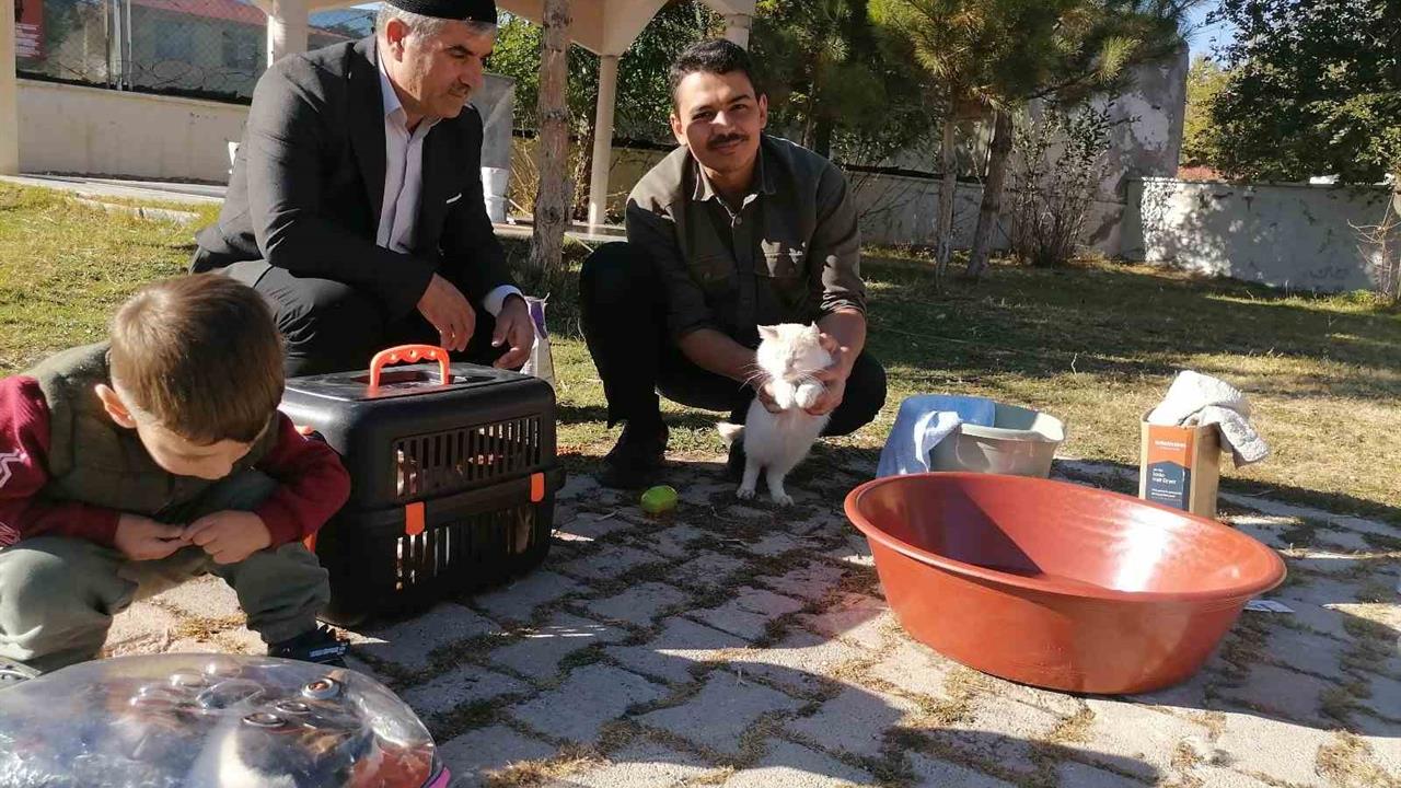 Erzurum'da İmamdan Kedilere Şefkat Eli