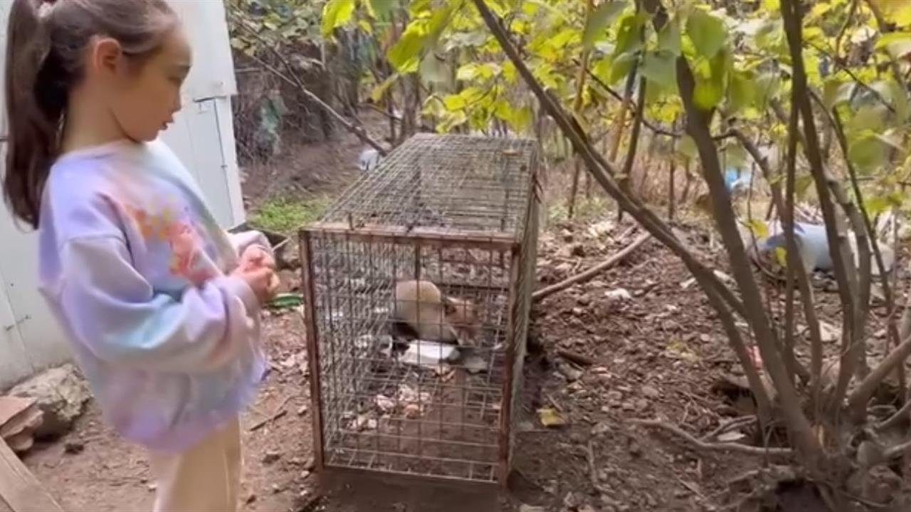 Karabük'te Küçük Kızın Tilki Sözleri Duygulandırdı