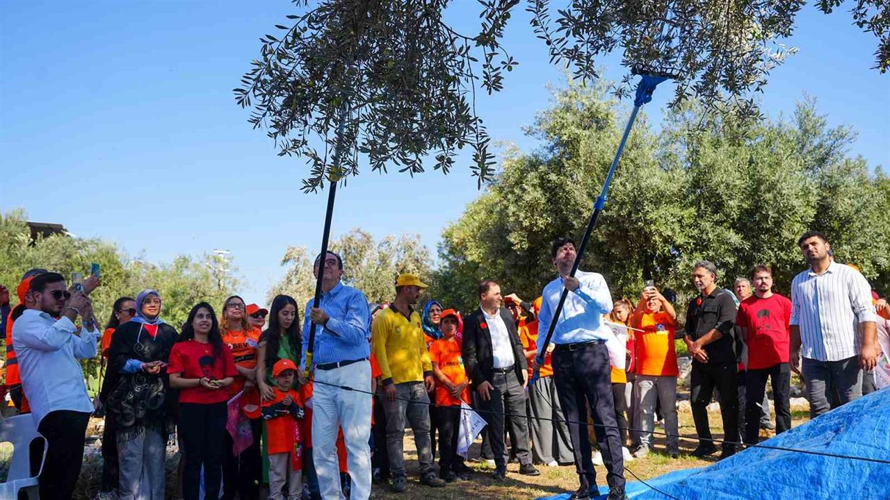 Mersin'de Zeytin Hasadı İyilik İçin Yapıldı