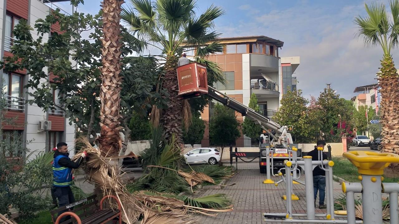 Nazilli'de Temizlik ve Peyzaj Çalışmaları Başladı