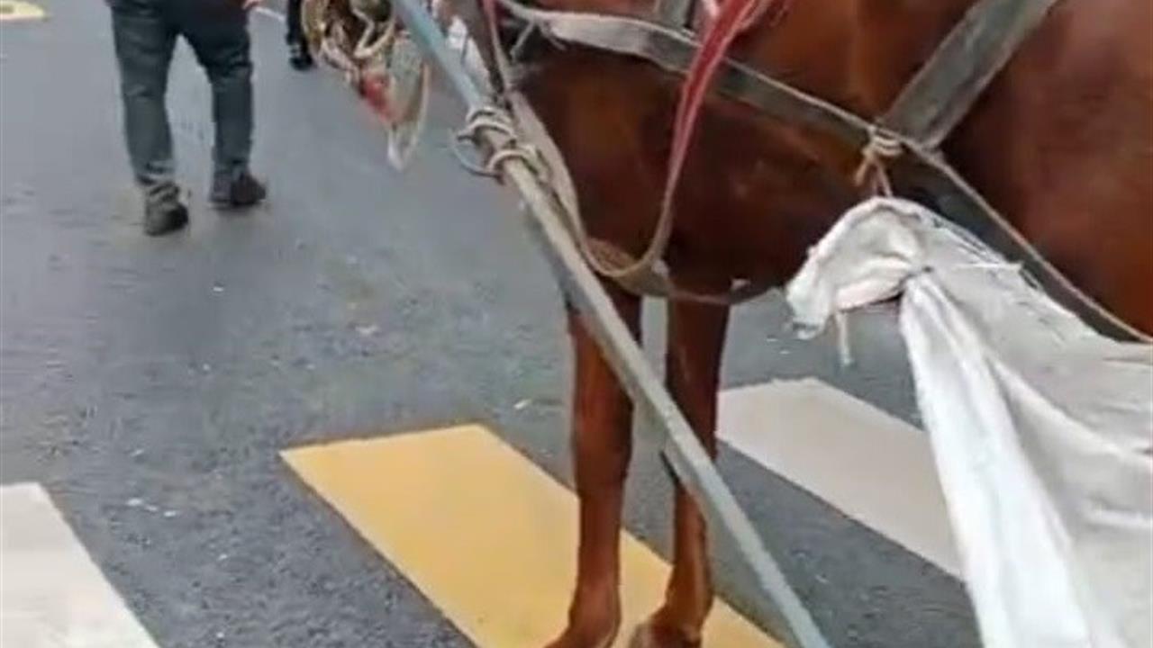 Edirne'de At Arabasına Hatalı Park Cezası: 993 TL