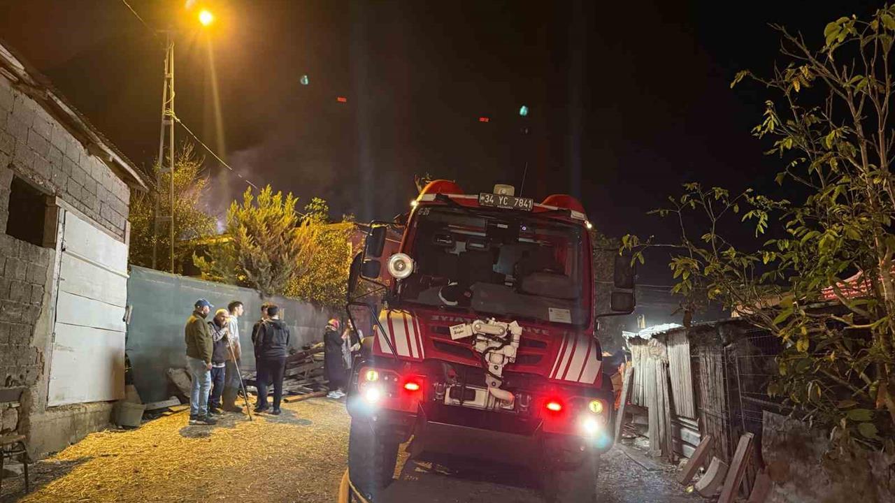 Çatalca'da Samanlık Yangını: 4 Hayvan Telef Oldu