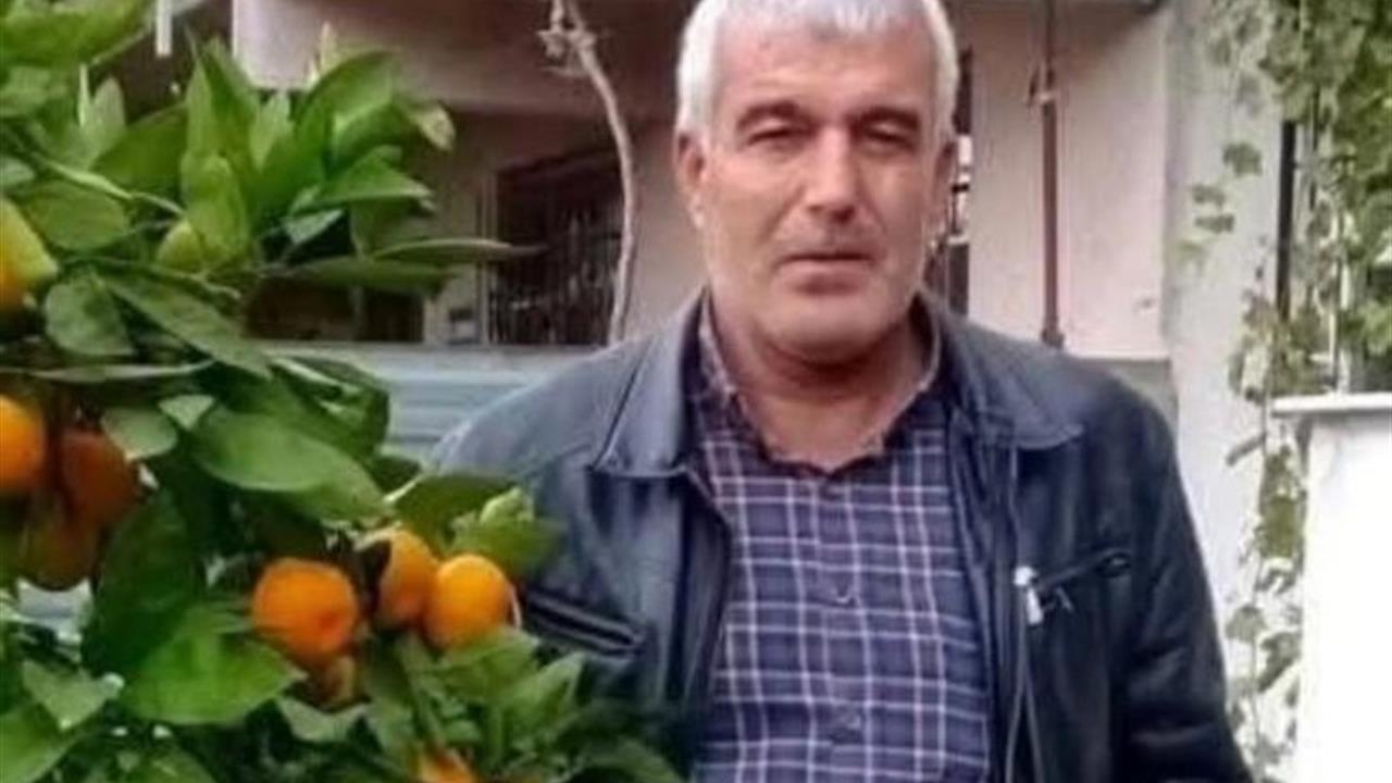 Malatya'da Ağaç Devrilmesi: Bir Kişi Hayatını Kaybetti