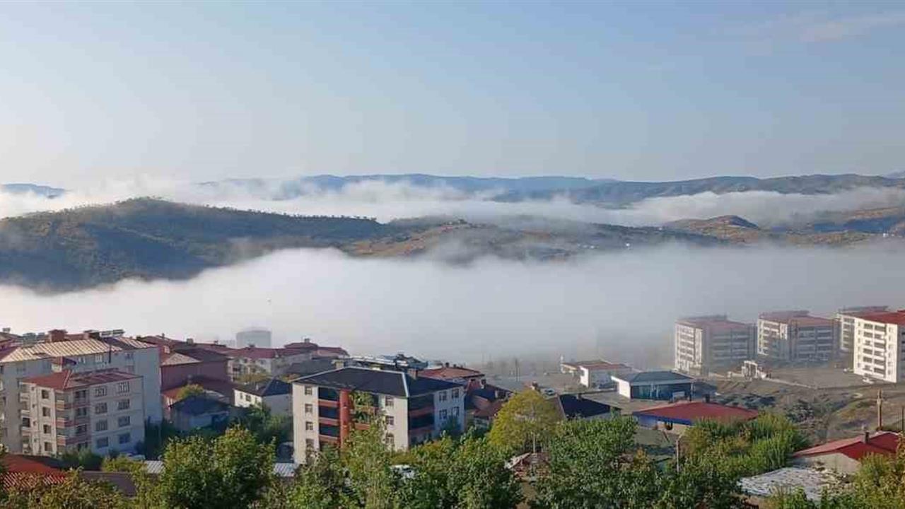 Kulp’ta Yoğun Sis Hayatı Olumsuz Etkiledi