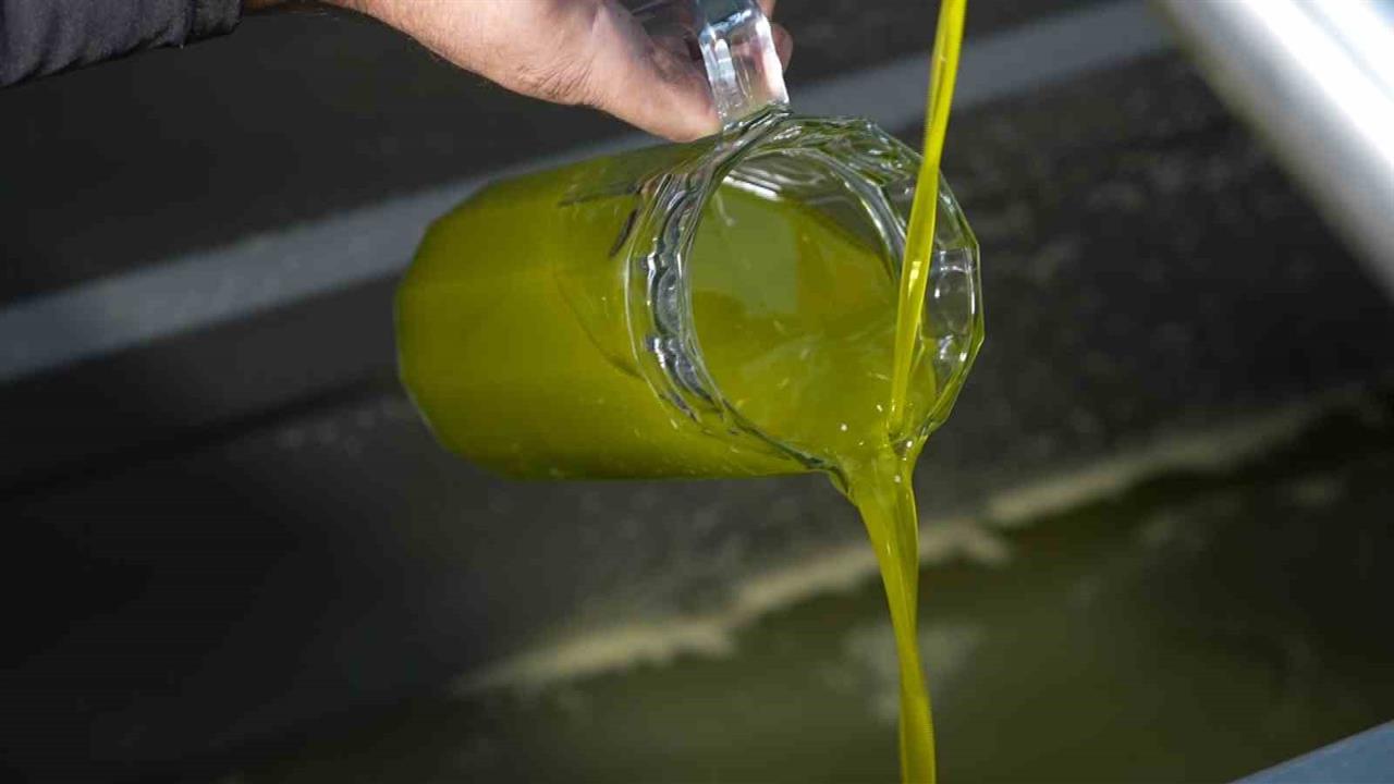 Ayvalık'ta Zeytinyağı Taklidi Sorunu: Üretici Zor Durumda