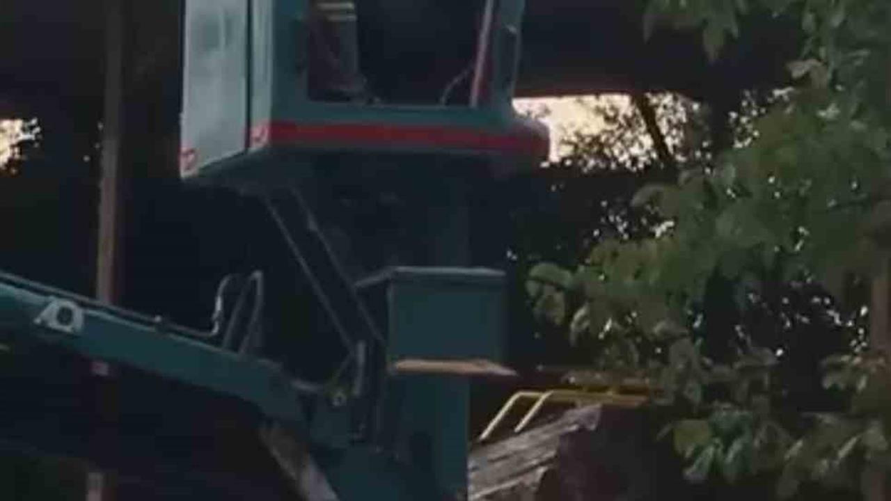 Bursa'da Vinç Üstünde Arı Saldırısı: İşçi Panikledi