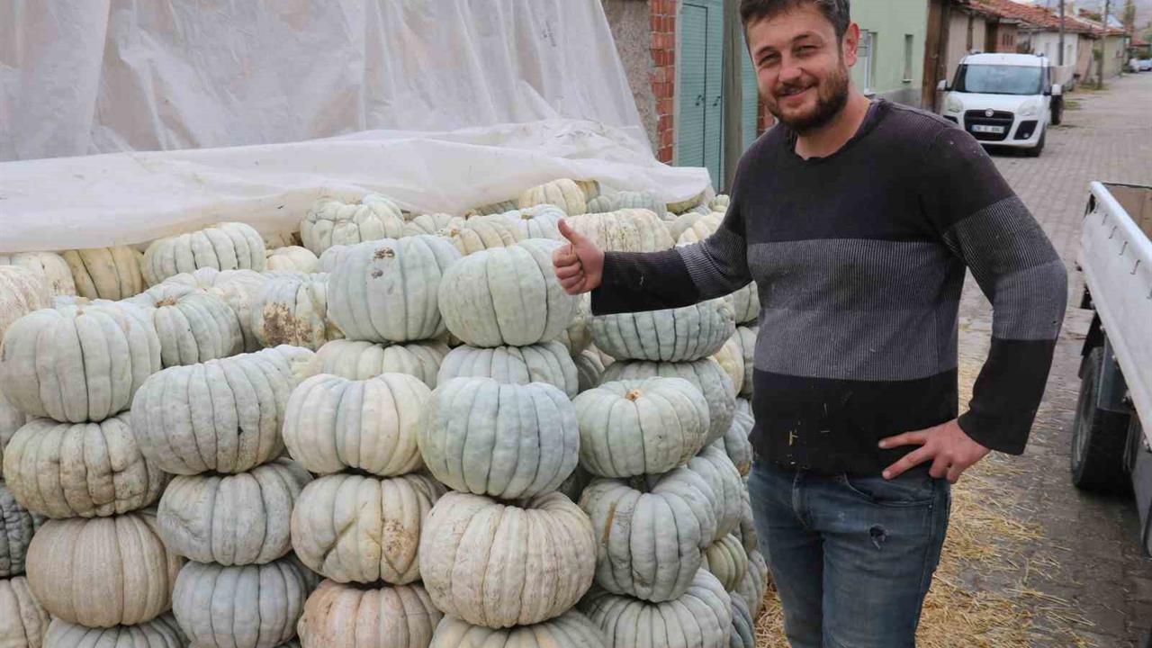 Eskişehir'de Ata Tohumu ile Kabağın Hasadı Başladı