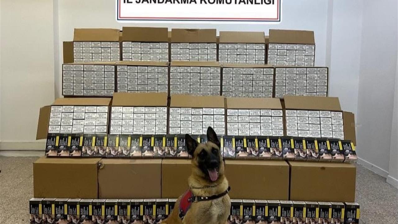 Tokat'ta Bandrolsüz Makaron Operasyonu: 1 Milyon TL'lik Ele Geçirildi