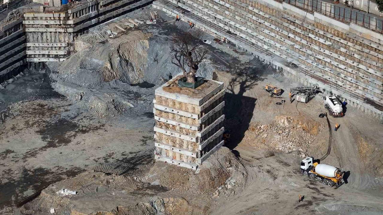 İstanbul'da Tarihi Ağaç Beton Kazıklarla Korunuyor