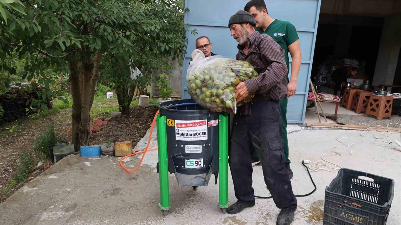 Antalya'da Ceviz Soyma Makineleri Üreticilerin Hizmetinde