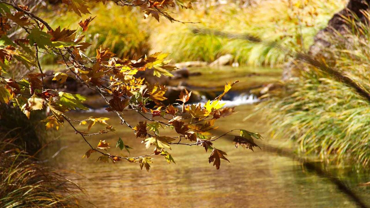 Cödden Vadisi Görenleri Büyülüyor: Kahramanmaraş'ın Doğal Harikası