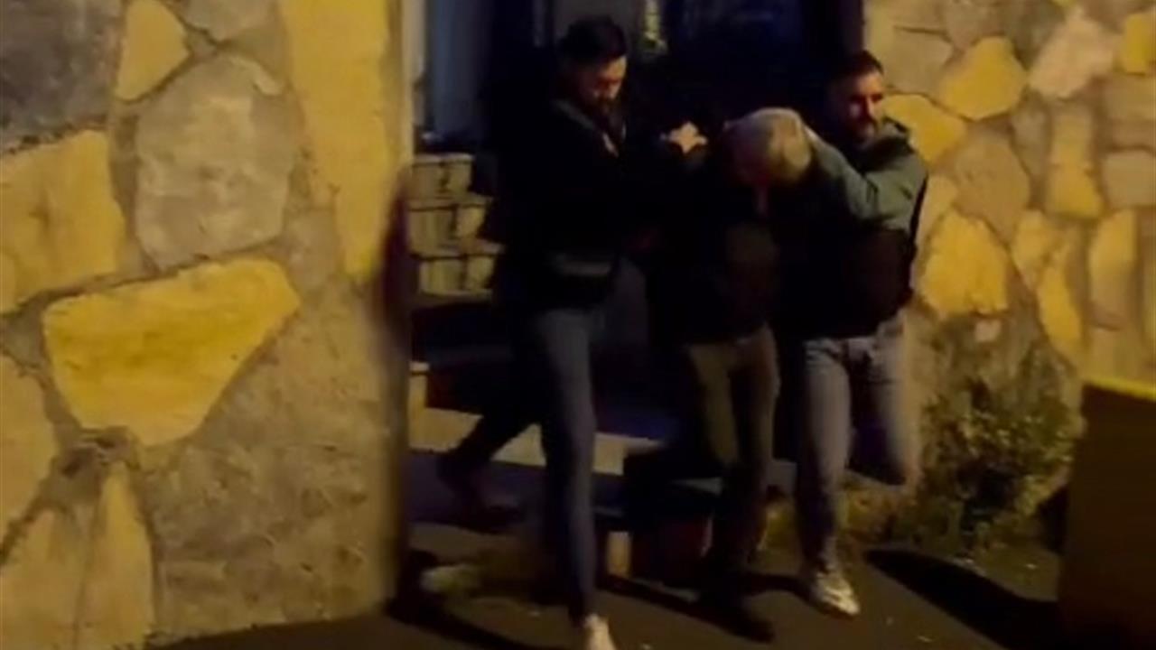 İstanbul'da Sokak Köpeğini Ezen Şüpheli Yakalandı