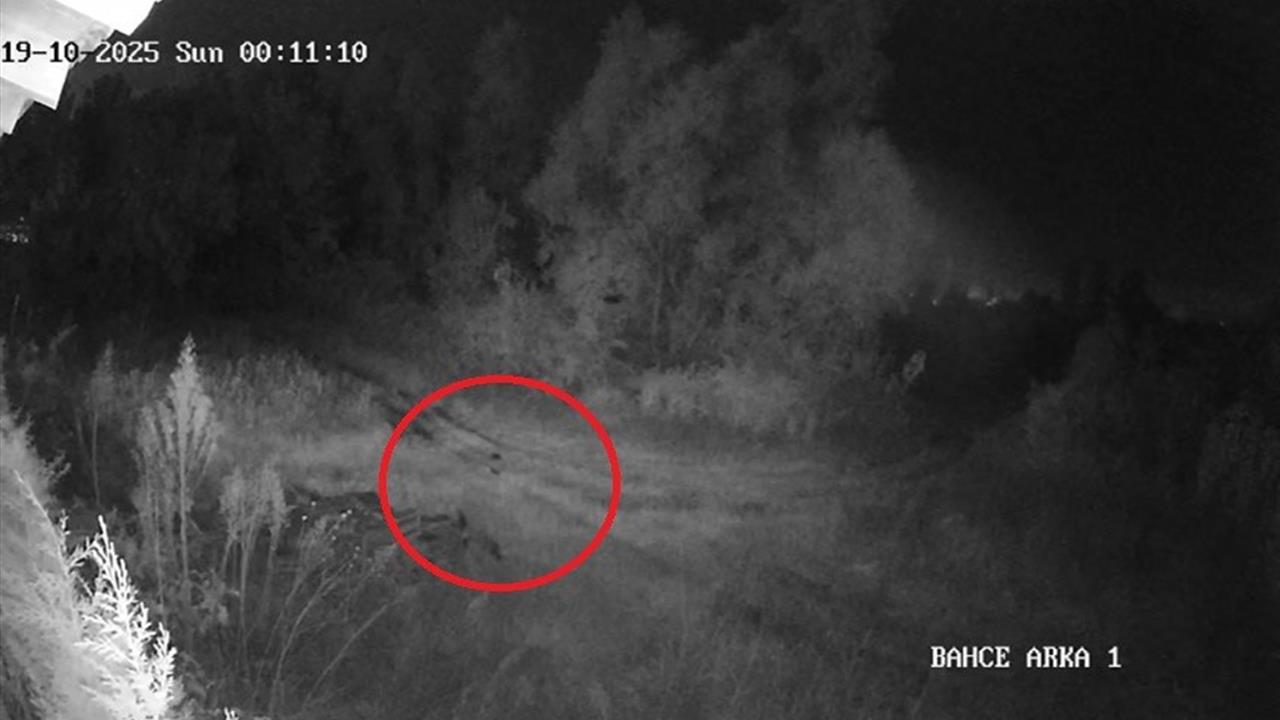 Samsun'da Kayıp Genç Paniğe Neden Oldu