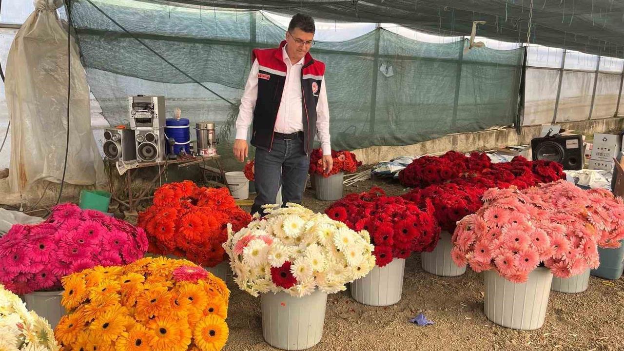 Tekirdağ'da Üretim Çeşitliliği: Sebze ve Gerbera Ziyareti