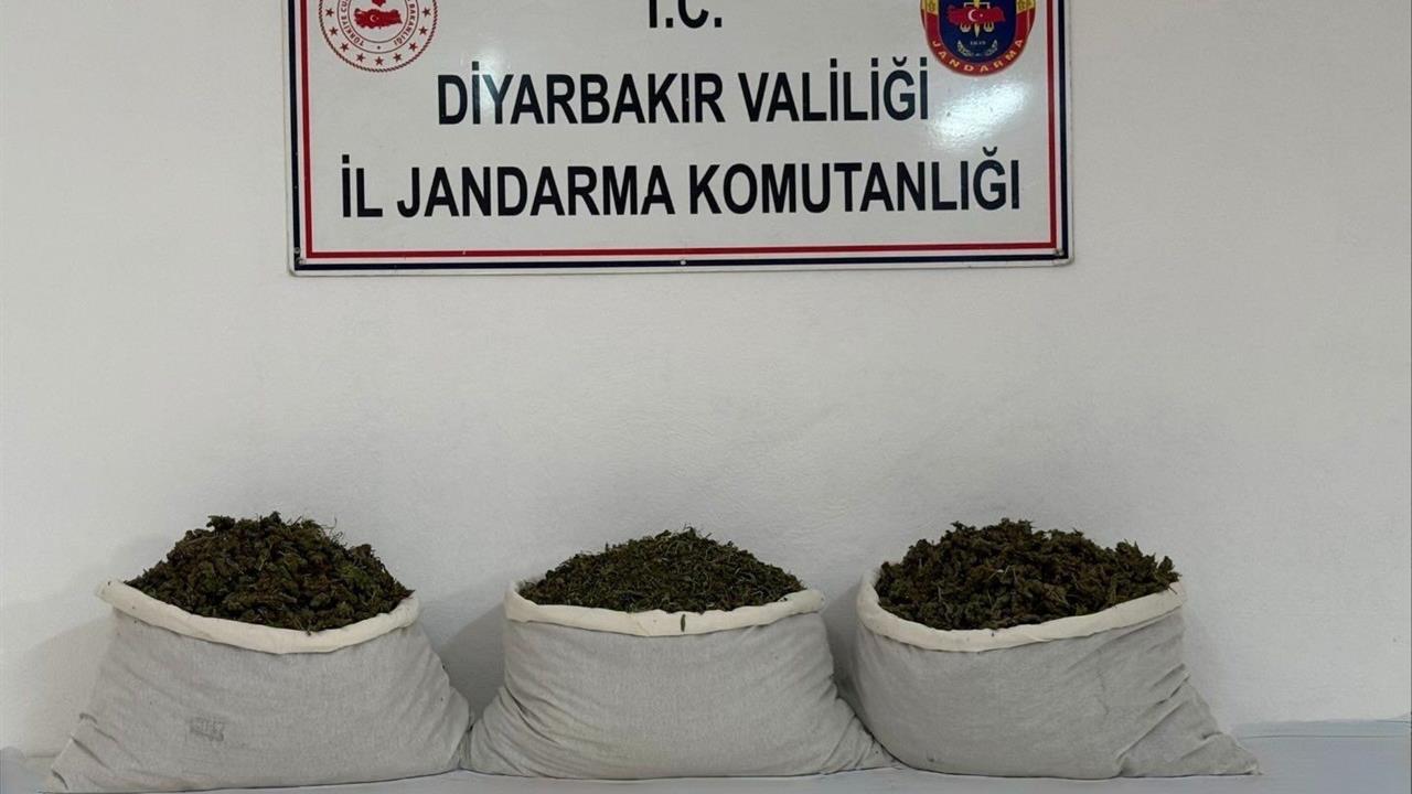 Diyarbakır'da Uyuşturucu Operasyonu: 15 Kilo Skunk Ele Geçirildi