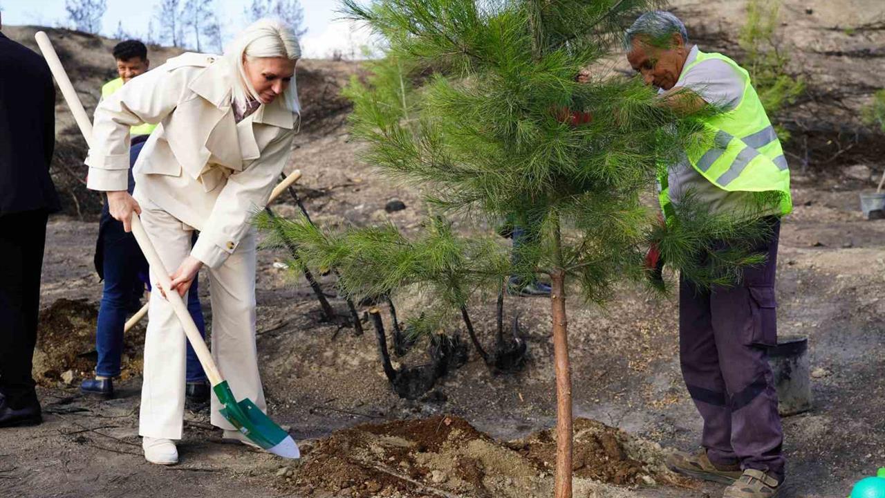 Bilecik’te Yangın Sonrası İlk Fidanlar Toprakla Buluştu