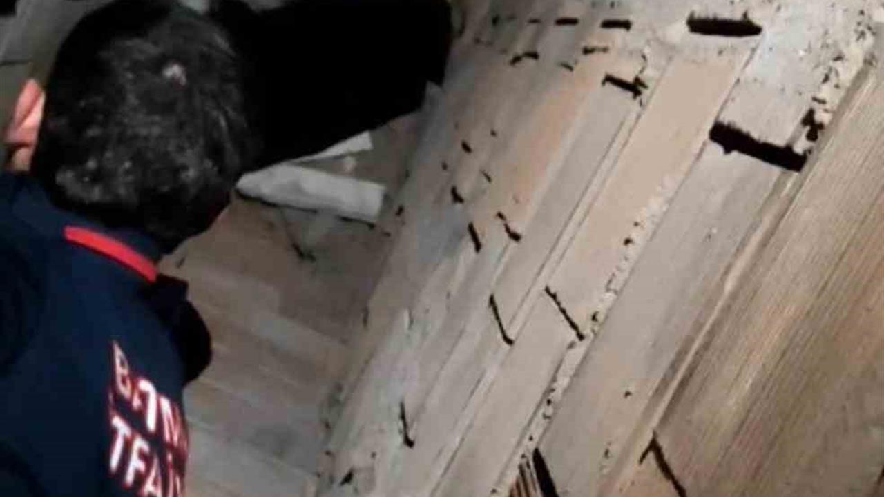 Batman'da Havalandırma Boşluğuna Düşen Kedi Kurtarıldı