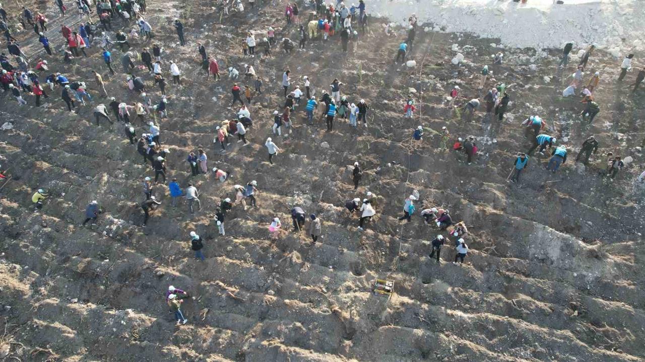 Manisa’da 23 Bin Fidan Toprakla Buluşacak