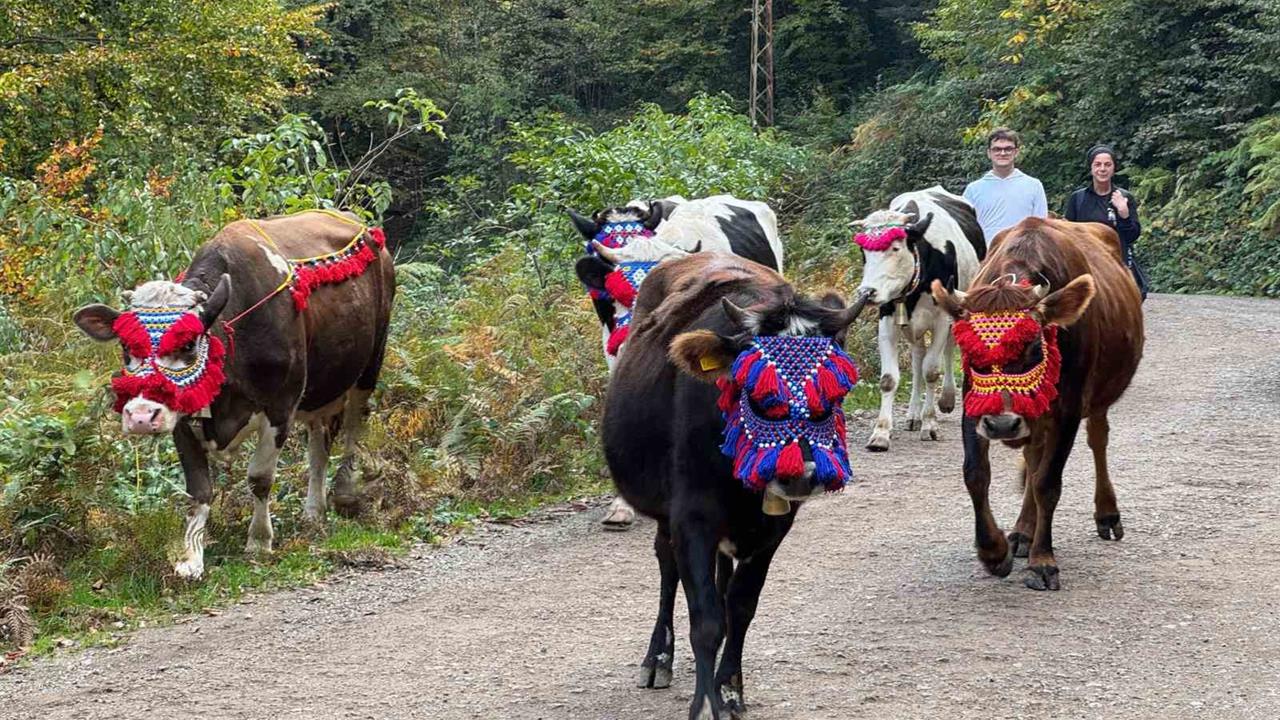 Akyazı'da Geleneksel Yayla Dönüş Şöleni Kutlandı