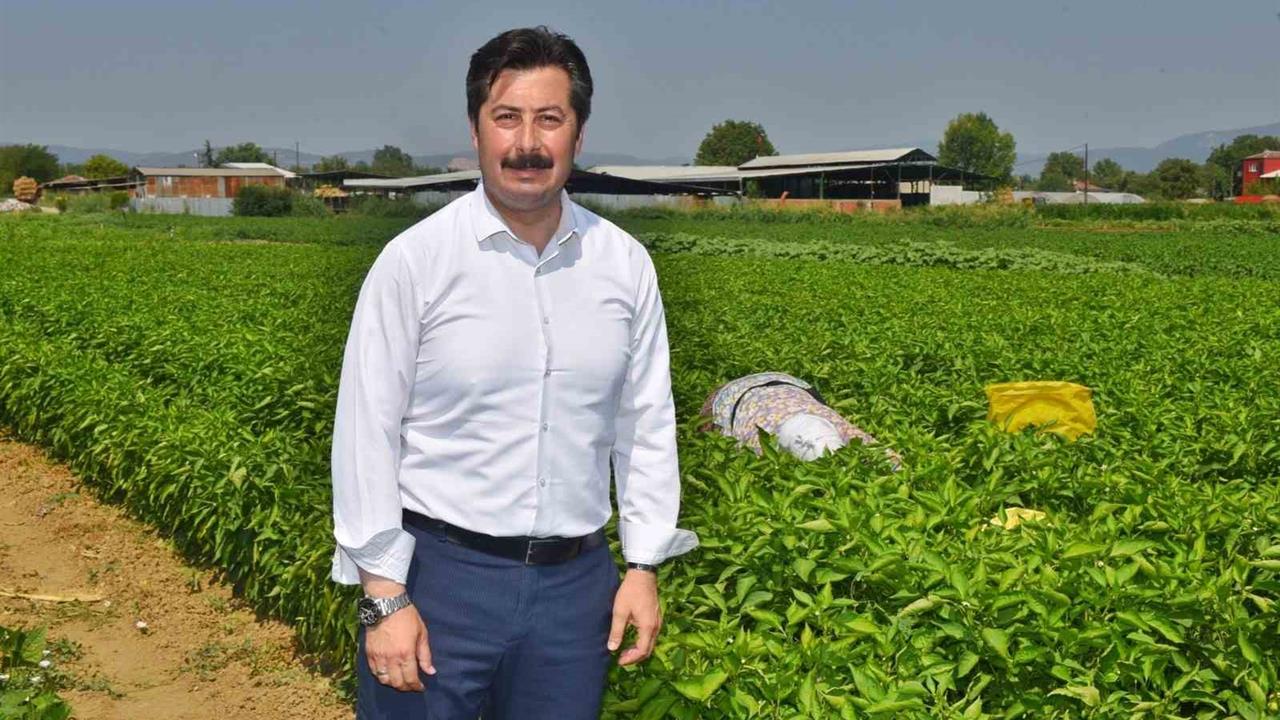 Türkiye'nin Gıda Ürünleri Dünya Pazarında Yer Alacak