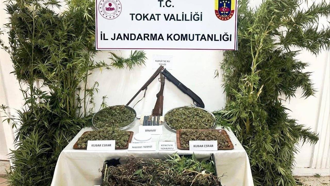 Tokat’ta Kenevir Operasyonu: 1 Gözaltı