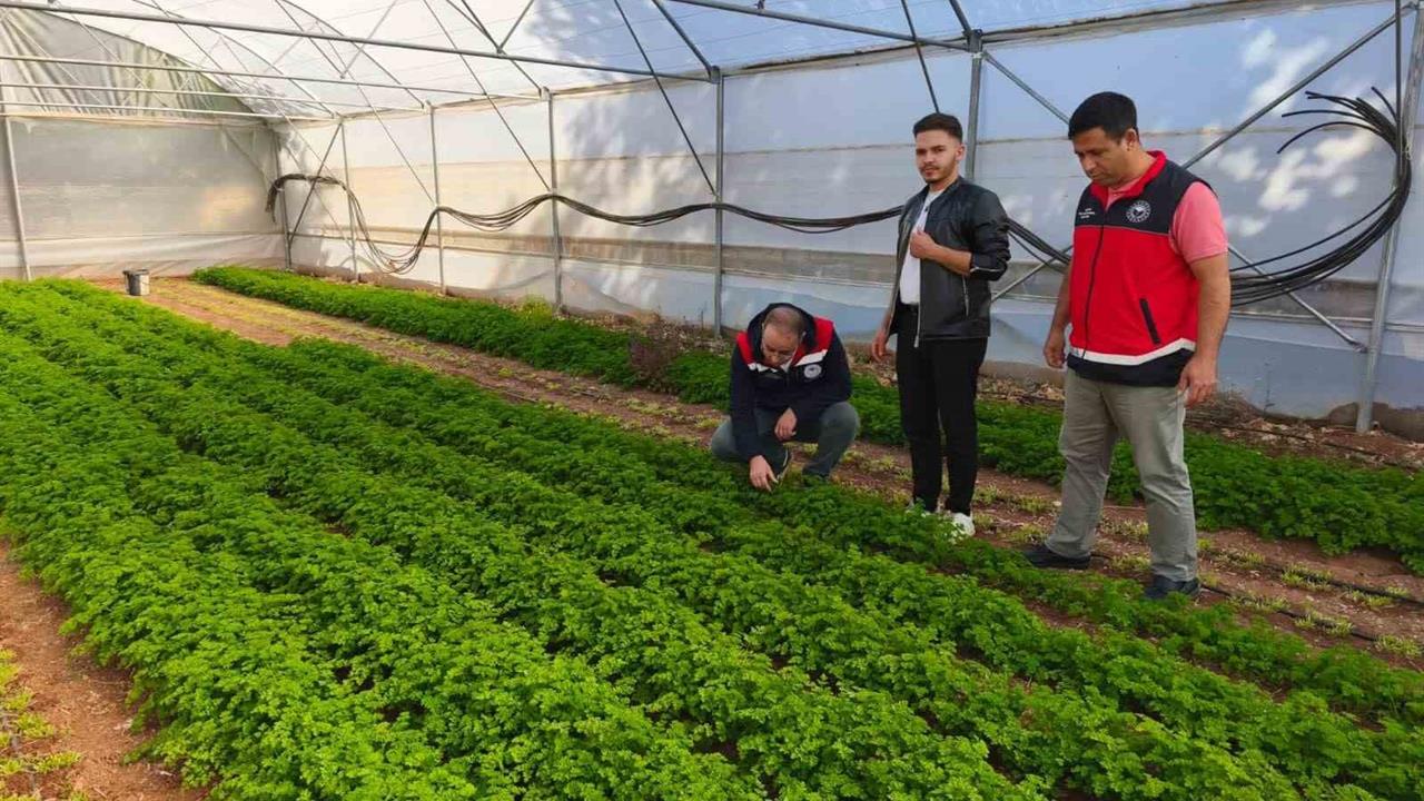 Beyşehir'de Örtü Altı Tarımda Büyüme Devam Ediyor