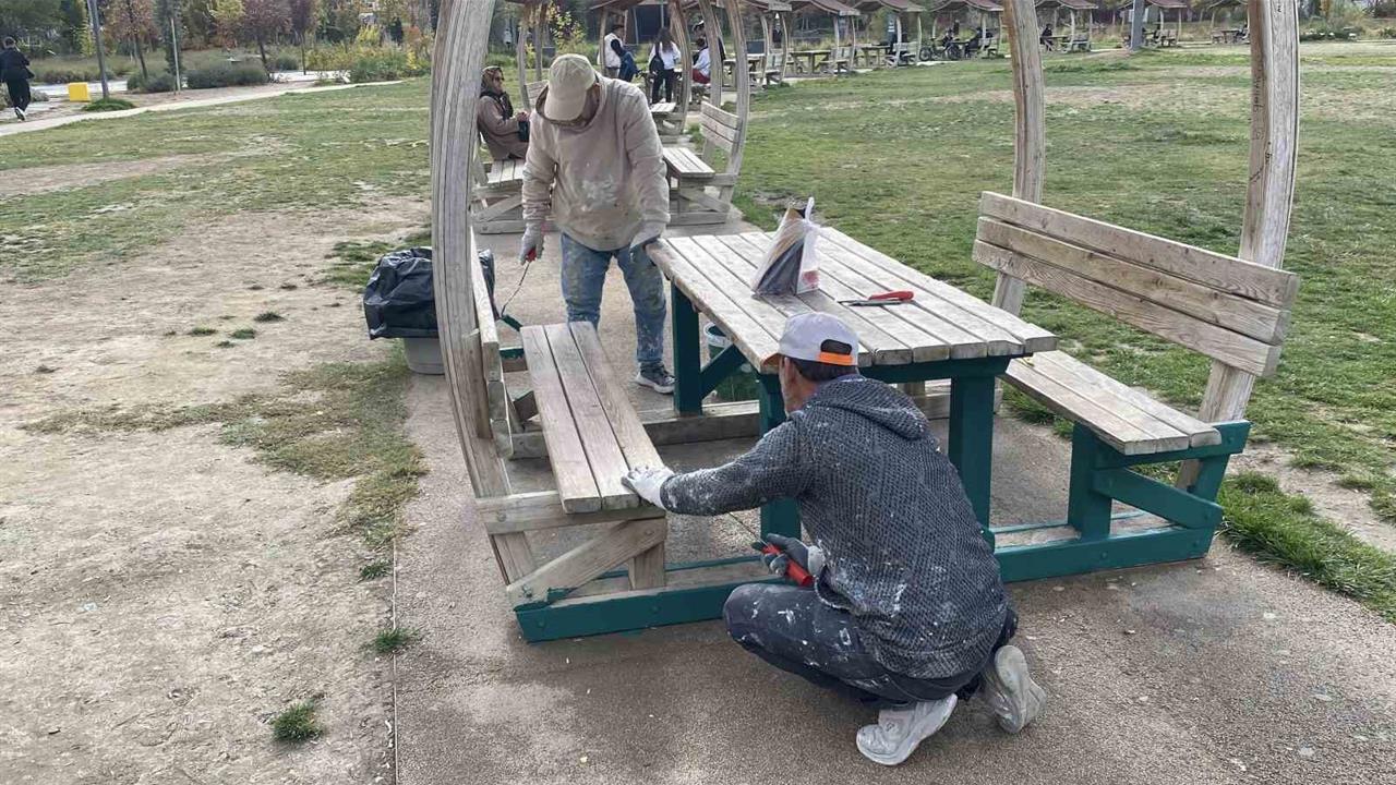 Eskişehir'de Millet Bahçesi'nde Bakım Çalışmaları Başladı
