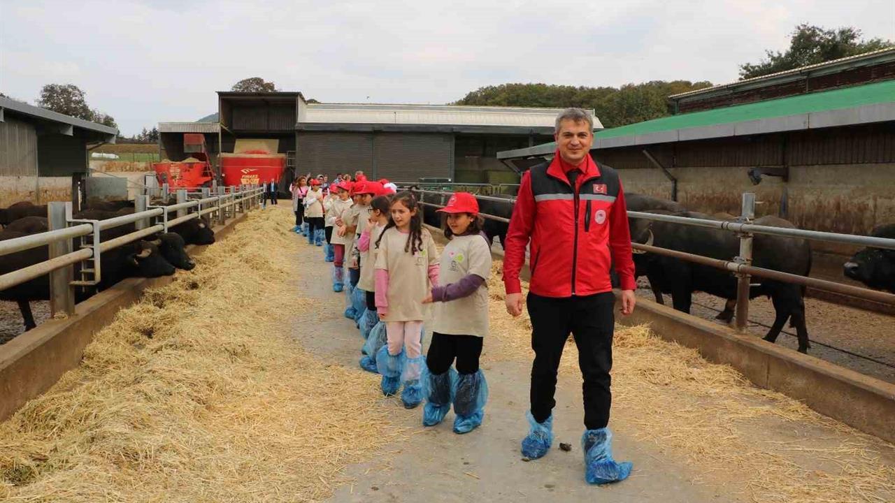 Kocaeli'de Minik Çiftçiler Tarımı Öğreniyor