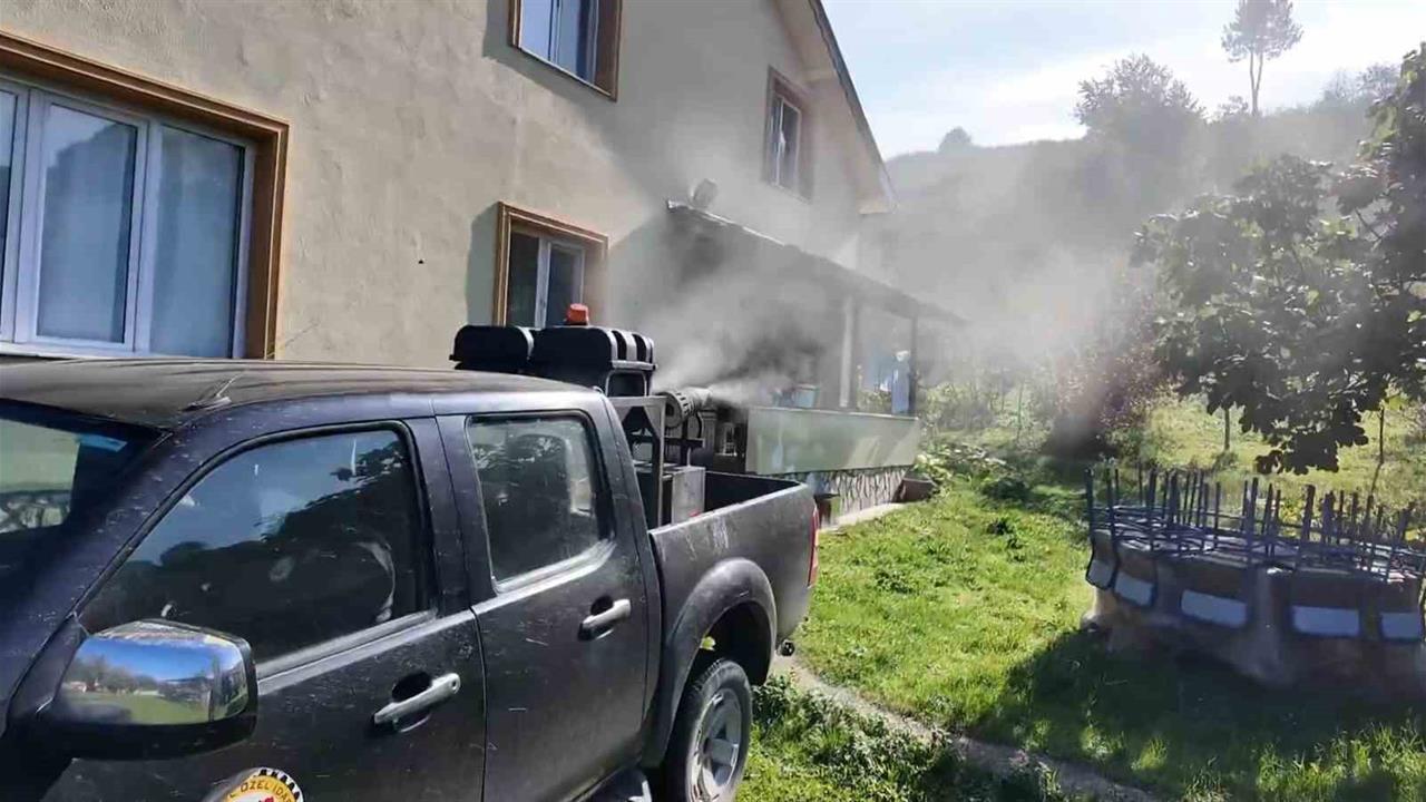 Düzce'de Kahverengi Kokarca Mücadelesi Artıyor