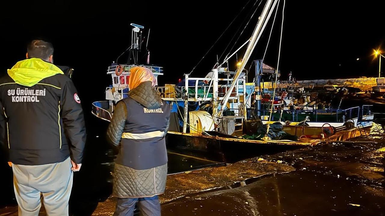 Düzce'de Hamsi Bereketi: 721 Ton Çıktı