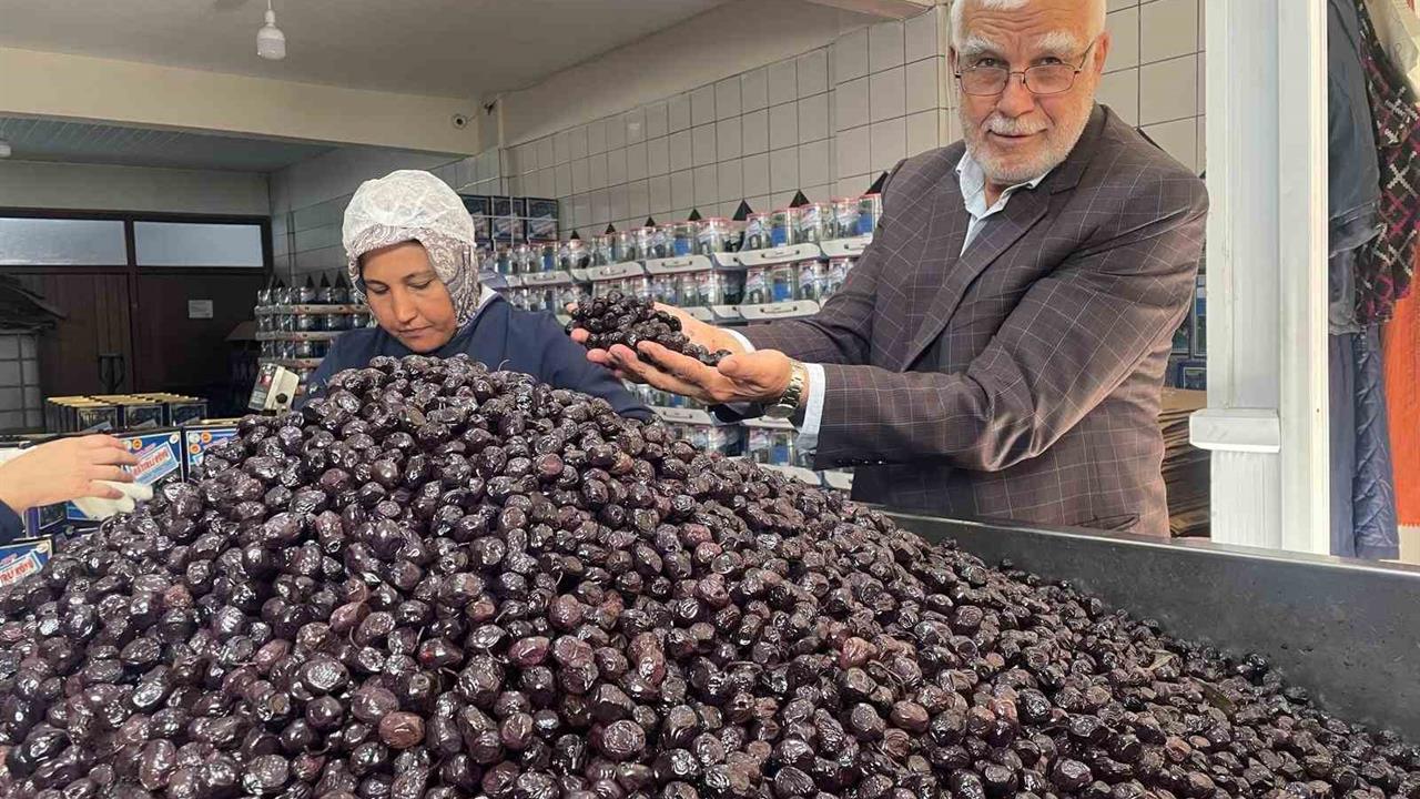 Bursa ve Balıkesir Sofralık Zeytin Üretiminde Öne Çıkıyor