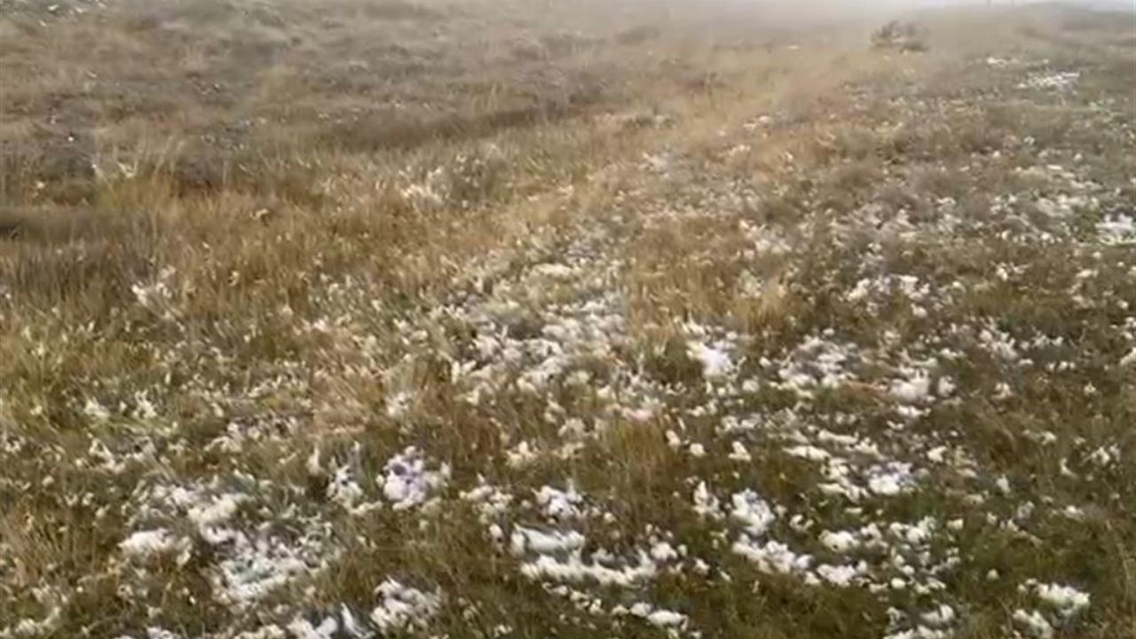 Ardahan'da Kar Yağışı Etkili Oldu