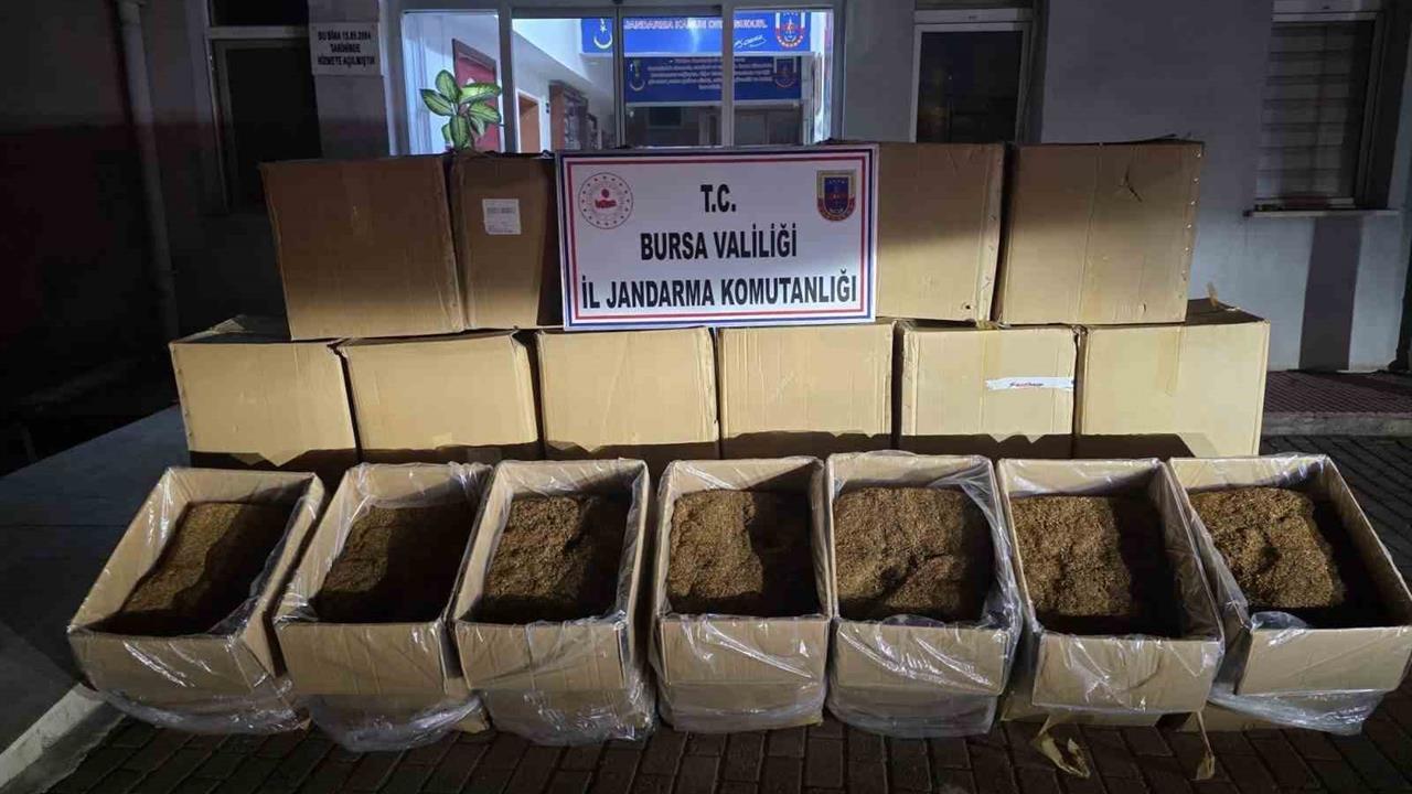 Bursa'da 750 Kilogram Kaçak Tütün Ele Geçirildi
