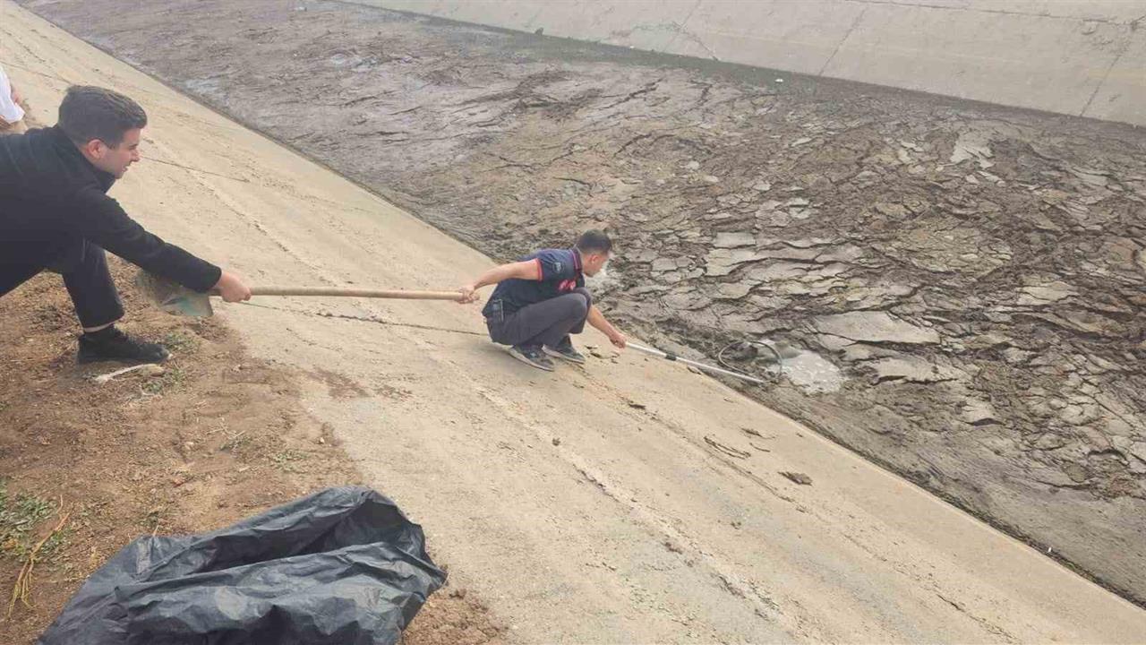 Batman'da Su Kanalına Düşen Yavru Köpek Kurtarıldı