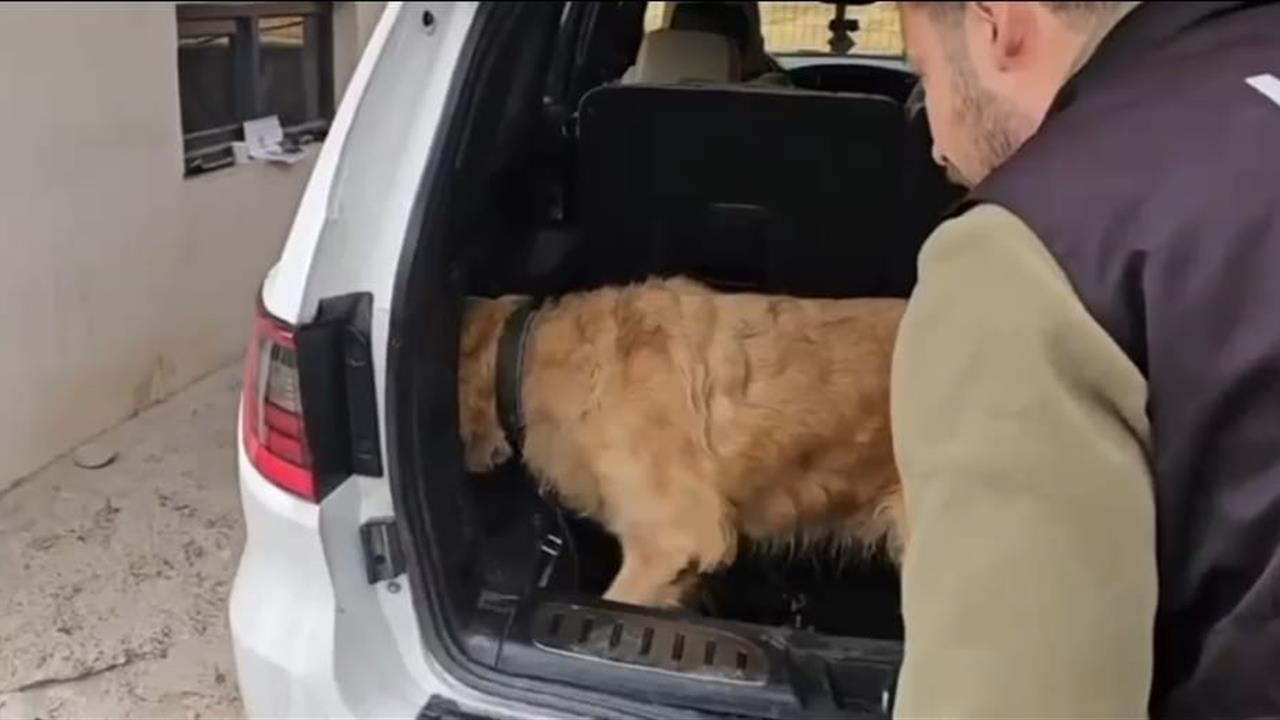 Hakkari'de Uyuşturucu Operasyonu: 60 Kilogram Metamfetamin Ele Geçirildi