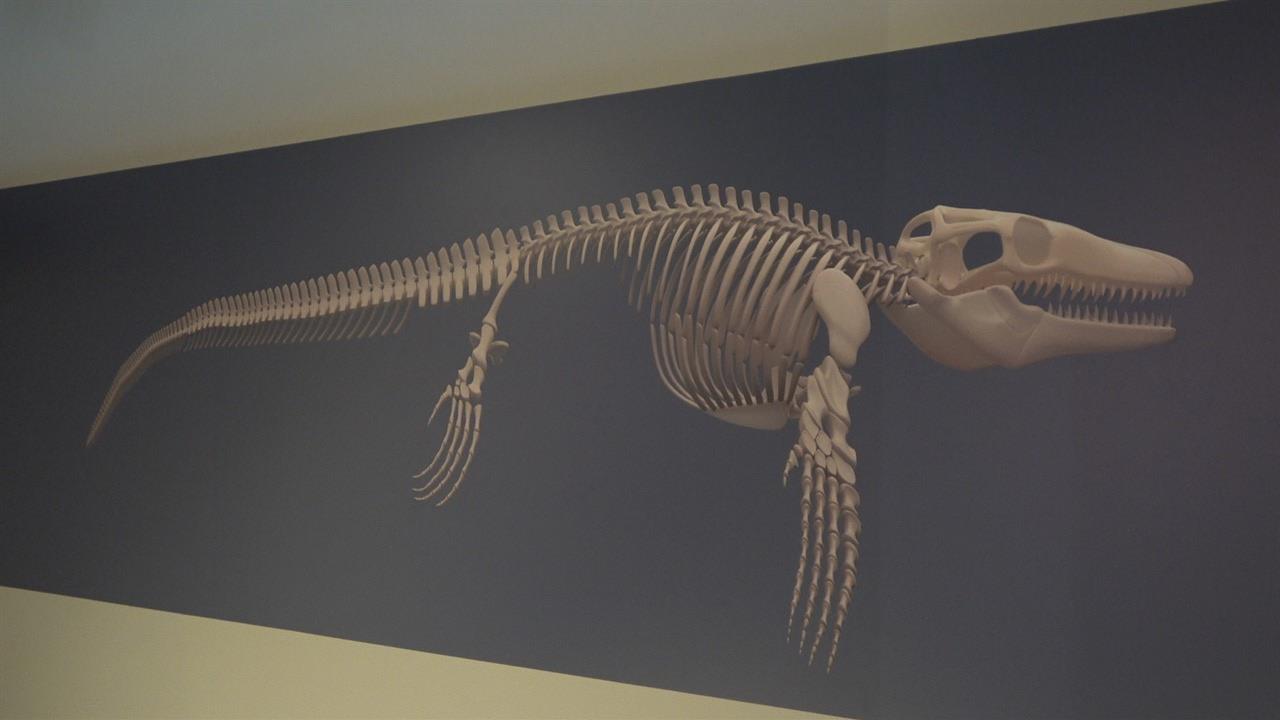 Kastamonu'da Denizlerin Dinozorunu Keşfetti: Türk Profesör Anlattı