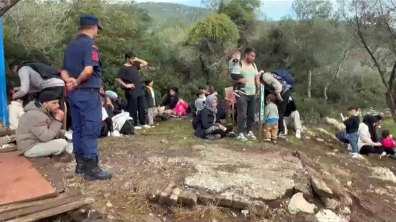 Milas'ta Düzensiz Göçmen Operasyonu: 74 Yakalandı