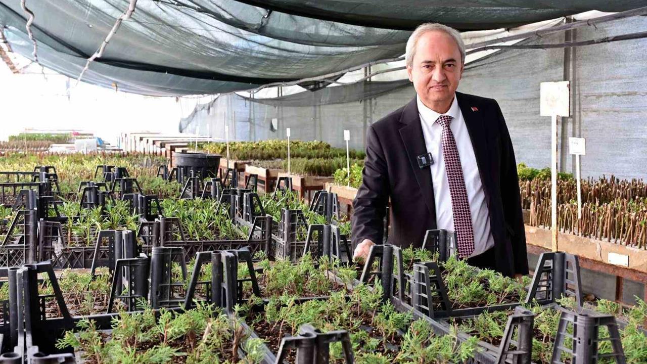 Kepez'de Kurakçıl Peyzaj Uygulamaları İle Su Tasarrufu Sağlanıyor