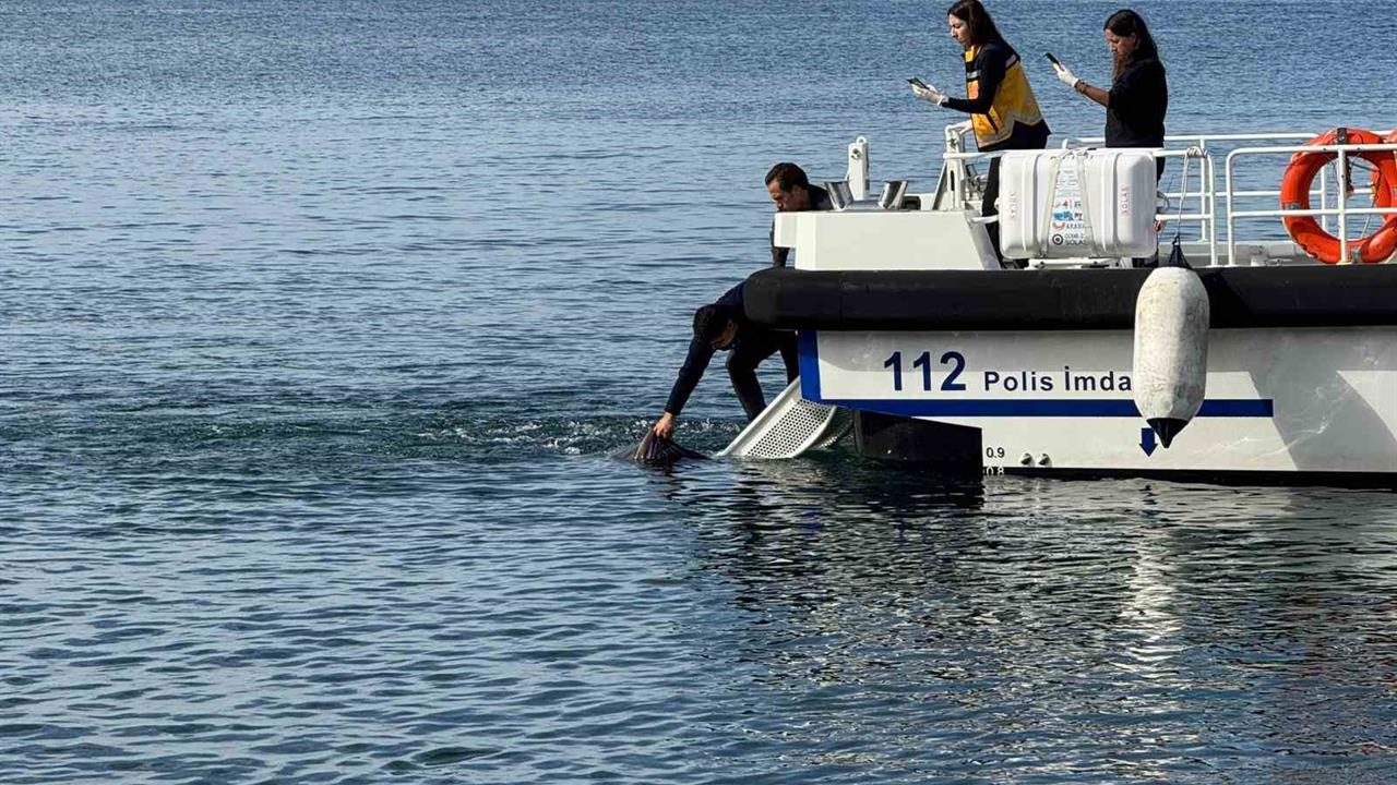 Erdek'te Denizde Erkek Cesedi Bulundu: 81 Yaşında